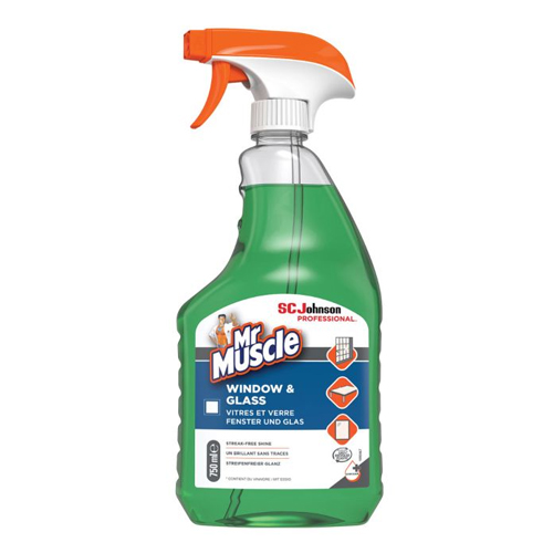 MR MUSCLE WINDOW & GLASS PROFESSIONAL SPRAY 750ML