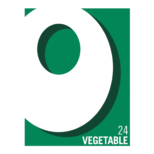 OXO 24 VEGETABLE STOCK CUBES 142G