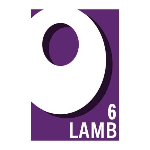 OXO 6 LAMB STOCK CUBES 35G