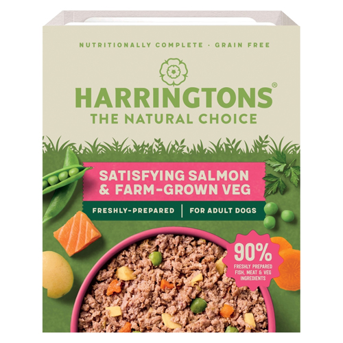 HARRINGTONS FRESH SALMON & VEG ADULT GRAIN FREE 400G