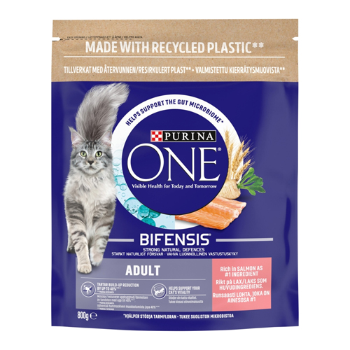 PURINA ONE ADULT DRY CAT FOOD SALMON AND WHOLEGRAIN 800G