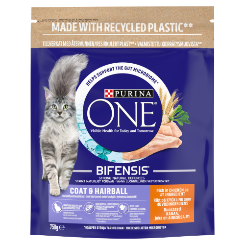 PURINA ONE COAT & HAIRBALL CHICKEN & WHEAT 750G