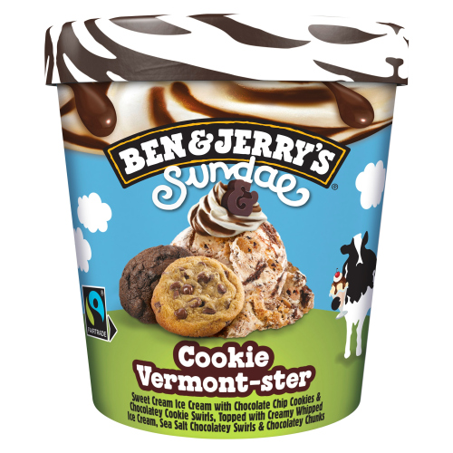 BEN & JERRY'S ICE CREAM TUB COOKIE VERMONT-STER SUNDAE 427 ML